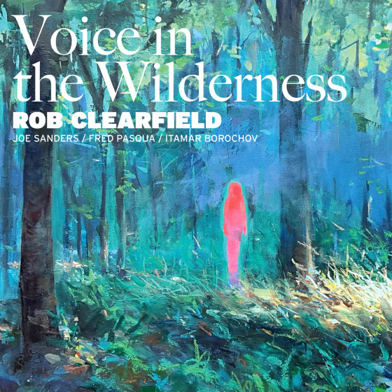 Voice in the Wilderness (Vinyl)
